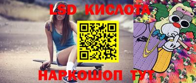 СК Новозыбков