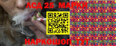 СК Новозыбков