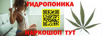 трава Новокубанск