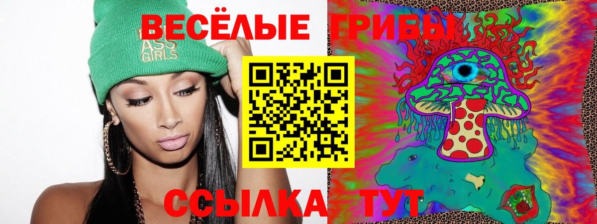Скопин  Галлюциногенные грибы Psilocybe  Вход с VPN  Псилоцибиновые грибы Magic Shrooms 